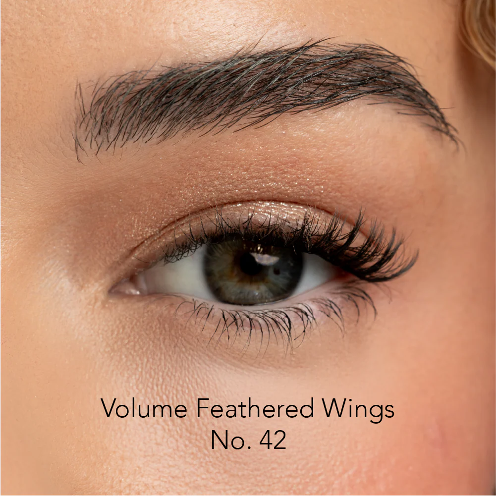 Lash Wings - Image 3