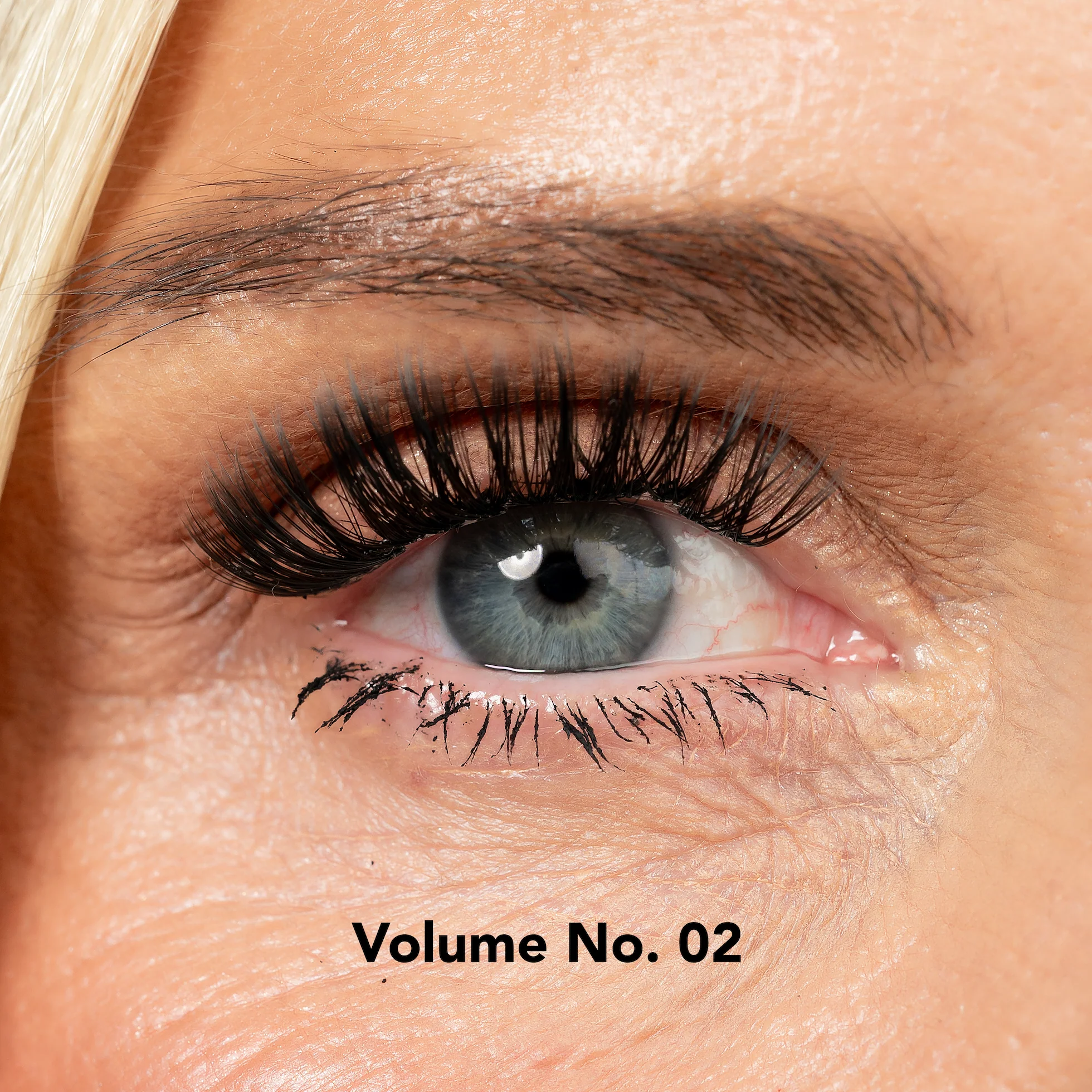 Lisa Wilson Starter Kit - Image 3