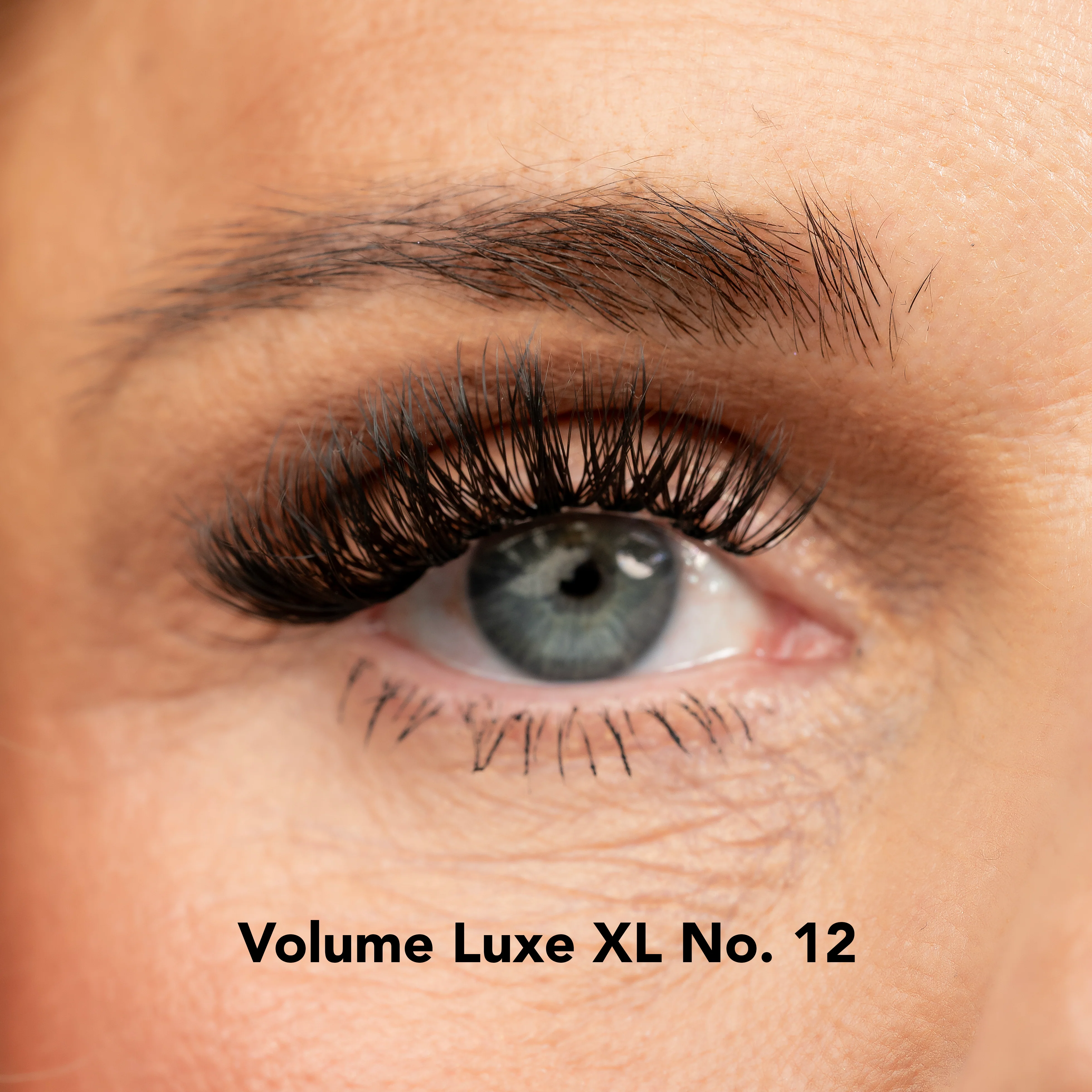 Lisa Wilson Starter Kit - Image 4