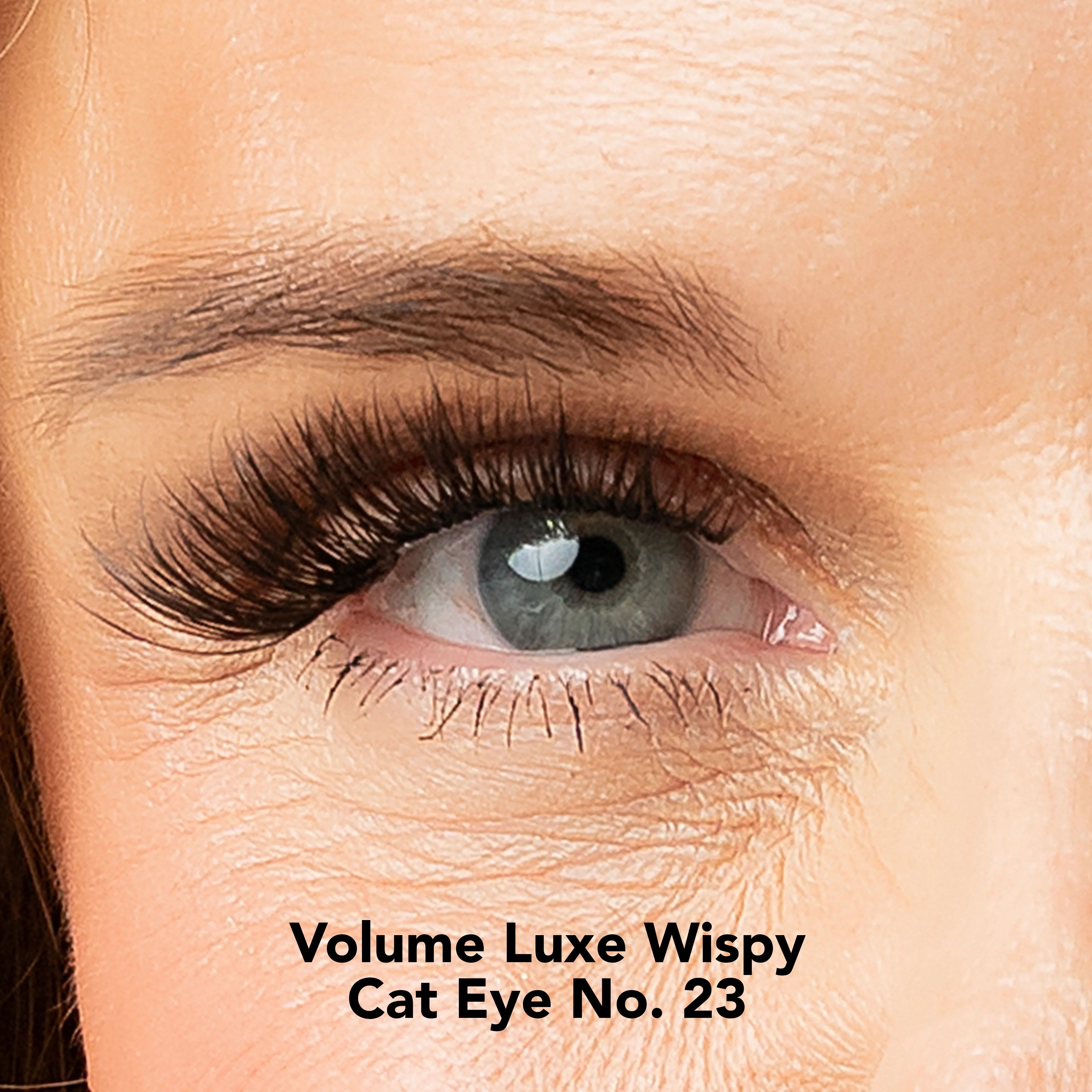 Lisa Wilson Starter Kit - Image 5