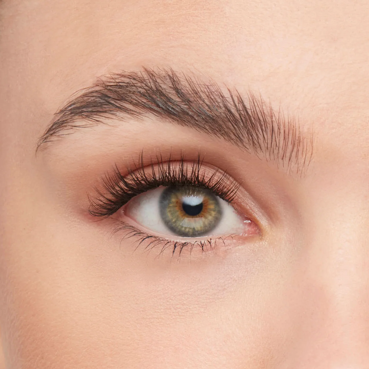 Volume Luxe No. 31 - Image 6